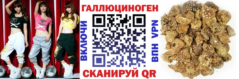 мега ссылка  Всеволожск  Псилоцибиновые грибы Psilocybine cubensis 